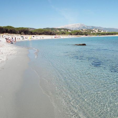 Case Vacanze Rosa سينيسكولا المظهر الخارجي الصورة