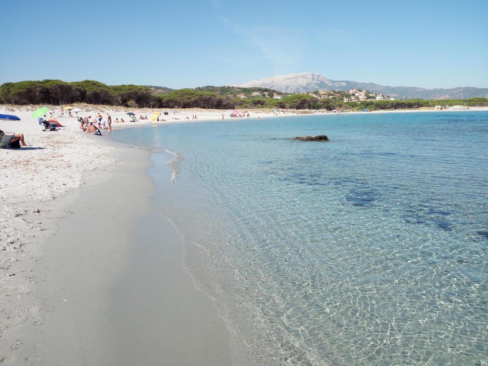 Case Vacanze Rosa سينيسكولا المظهر الخارجي الصورة
